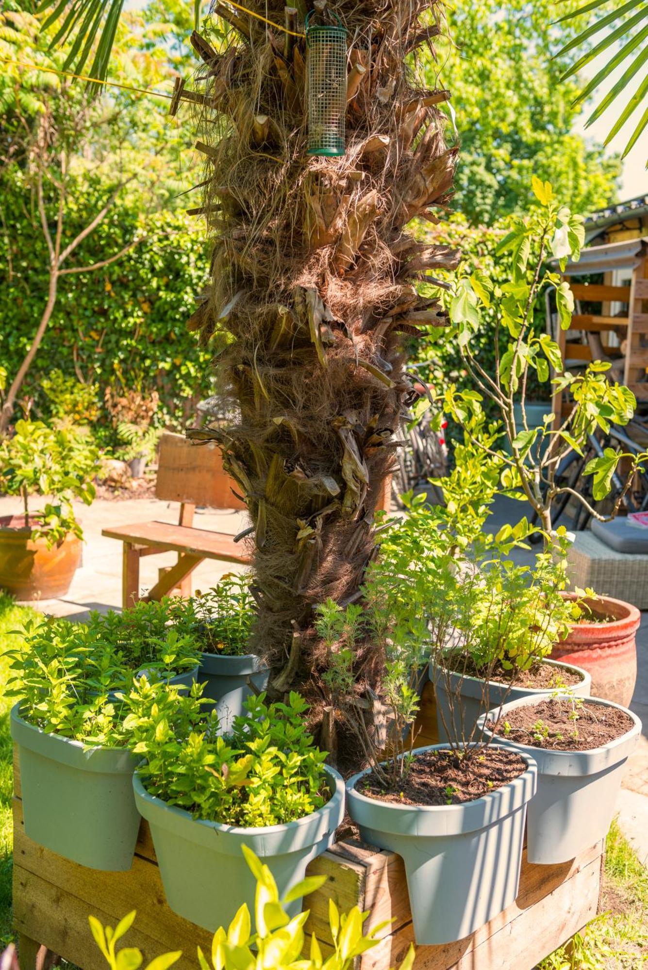 Cozy House - Leenfietsen, Eigen Keuken En Badkamer نايميخين المظهر الخارجي الصورة