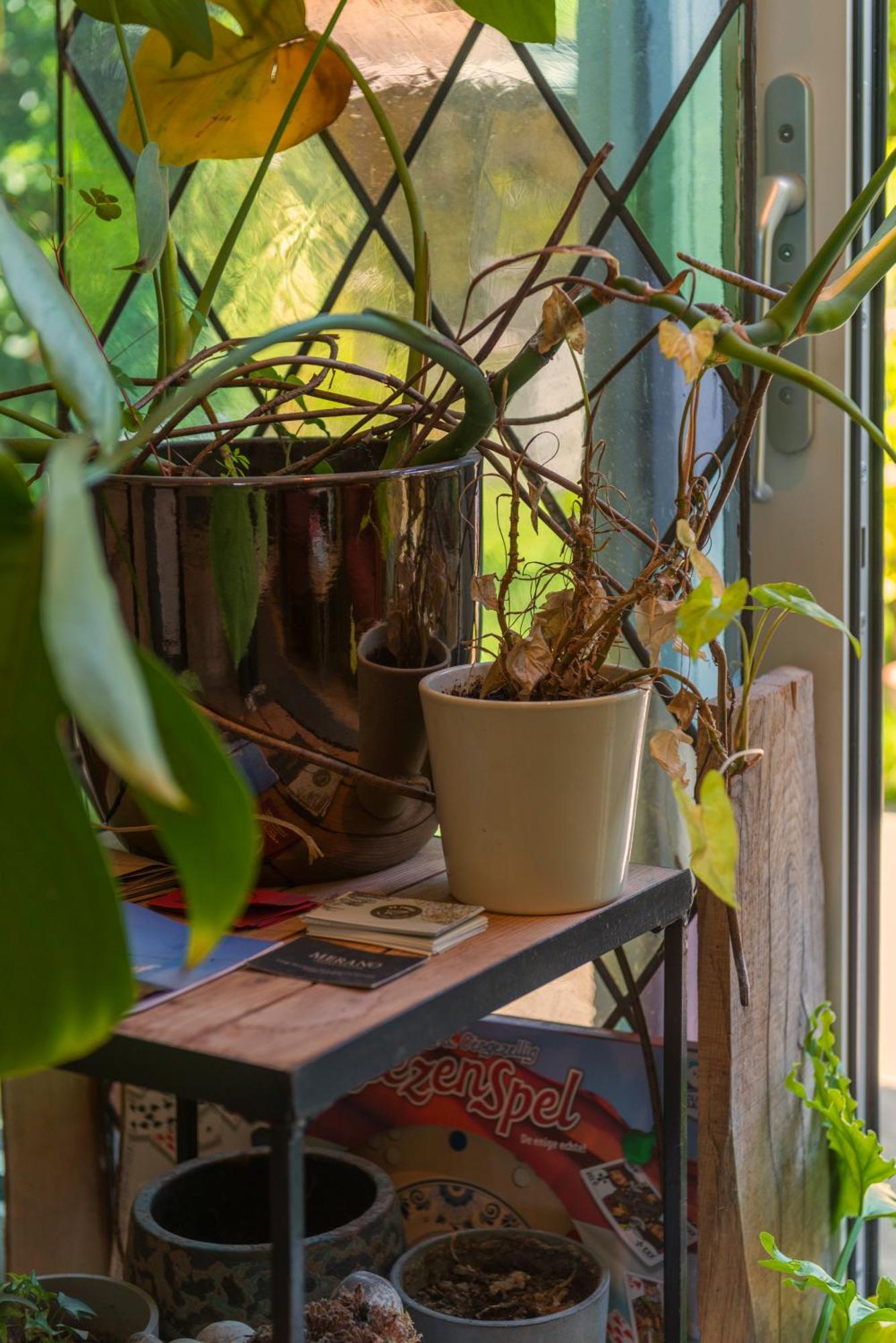 Cozy House - Leenfietsen, Eigen Keuken En Badkamer نايميخين المظهر الخارجي الصورة